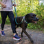ruffwear_crag_collar_perro_verde2_748960476687.jpg