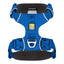 ruffwear_harness_blue_pool_748960774431.jpeg