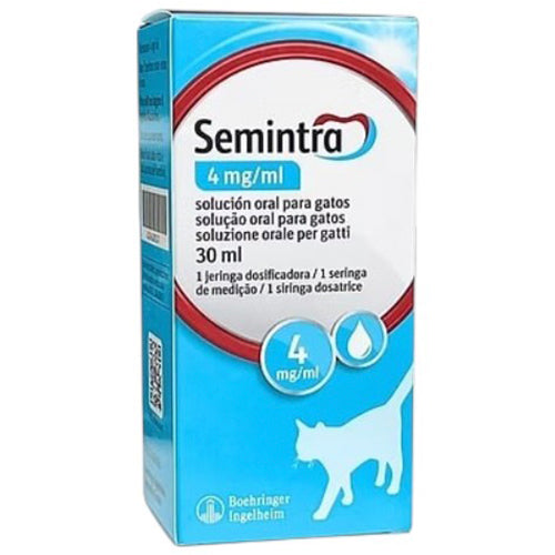 semintra_4064951006494.jpg