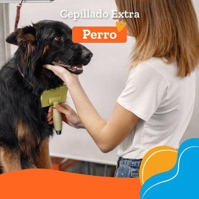 Cepillado extra unitario
