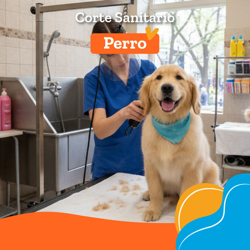 Corte Sanitario