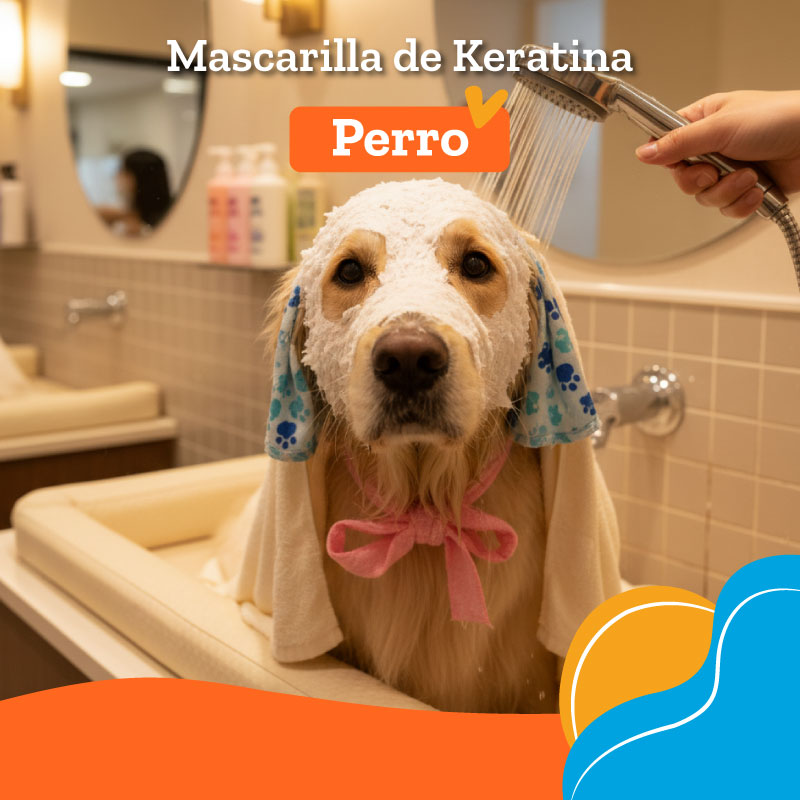 Servicio Mascarilla Keratina