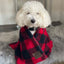 tall_tails_manta_polar2_perro_gato_022266148517.jpg