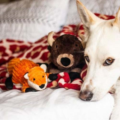 tall_tails_zorro_naranja_peluche2_perro_022266167471.jpg