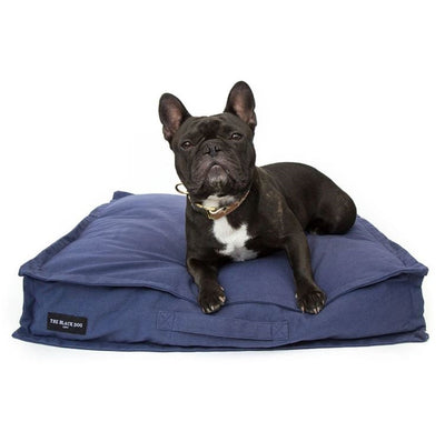 the_black_dog_cama_azul2_perro_100000057191.jpg