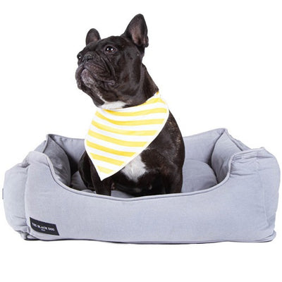the_black_dog_cama_gris2_perro_100000072952.jpg
