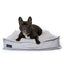 the_black_dog_cama_gris_perro_100000057181.jpg