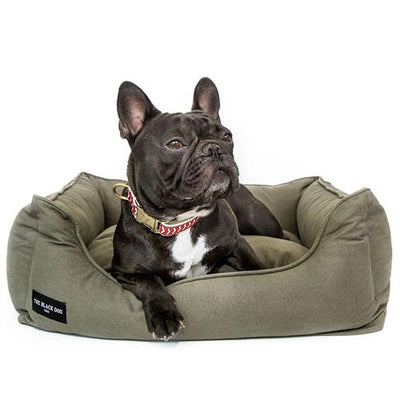the_black_dog_cama_verde2_perro_100000057163.jpg