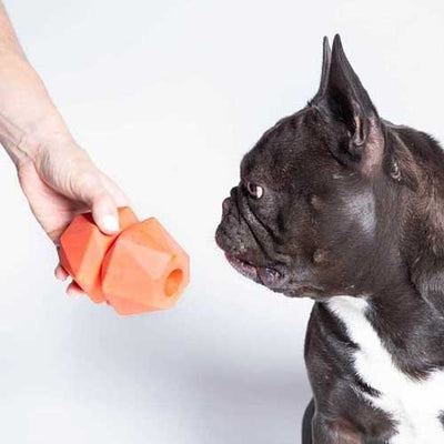 the_black_dog_juguete_the_rock2_rellenable_100000121213.jpg
