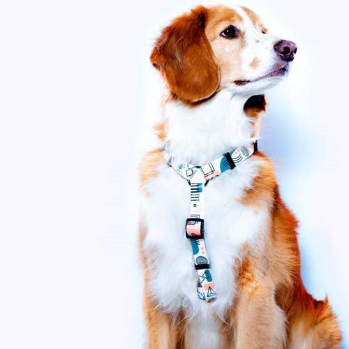 arnés_h_arizona_medium_2