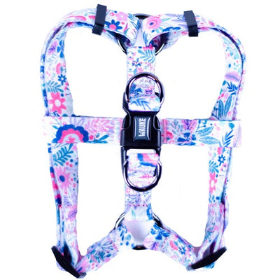 arnes_floresta_small_1