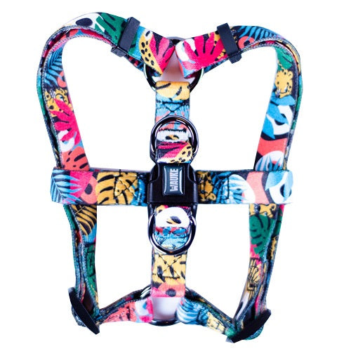 arnes_pardo_medium_1