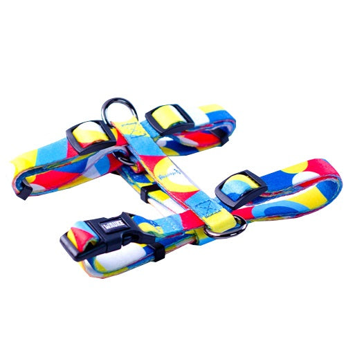 arnes_h_canica_small_1