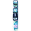 wauke_collar_monteverde2_perro_763331542341.jpg