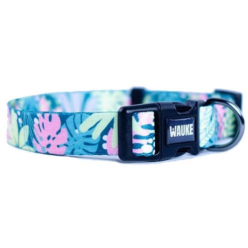 wauke_collar_monteverde_perro_763331542341.jpg