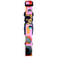 wauke_collar_toledo2_perro_7880706812366.jpg
