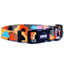 wauke_collar_toledo_perro_7880706812366.jpg