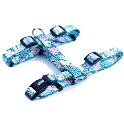 arnés_h_monteverde_medium_1