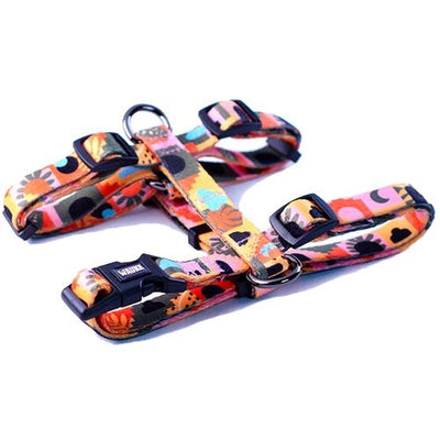 arnés_h_toledo_small_1