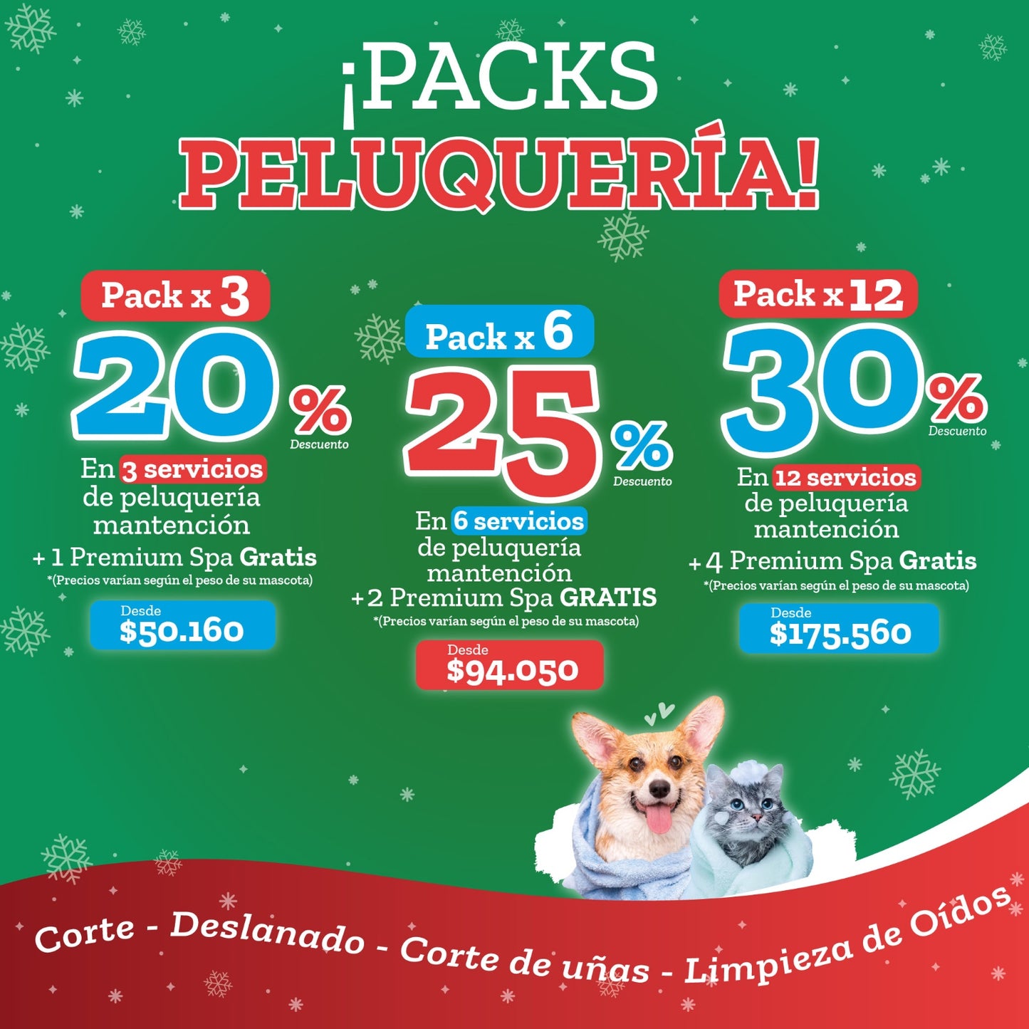 Pack Peluqueria X12