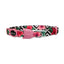 zeecat_mahalo_collar_gato_7898582472147.jpg