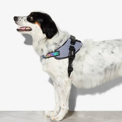 urban_flyharness_size_1_2