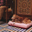 zeedog_cama_marrakesh_small_perro2_7898582495474.jpg
