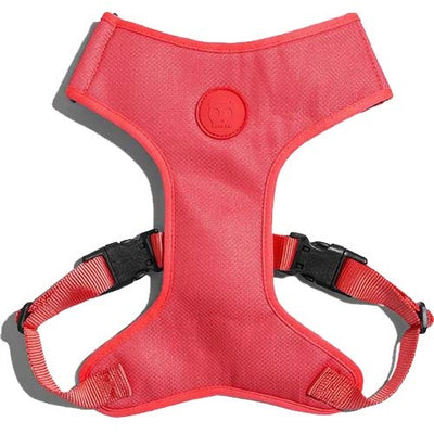 zeedog_coral_arnes_perro_7898582509027.jpg