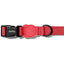 zeedog_coral_collar2_perro_7898582508396.jpg