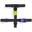 zeedog_harness_extra_small_perro_7908471122197.jpg