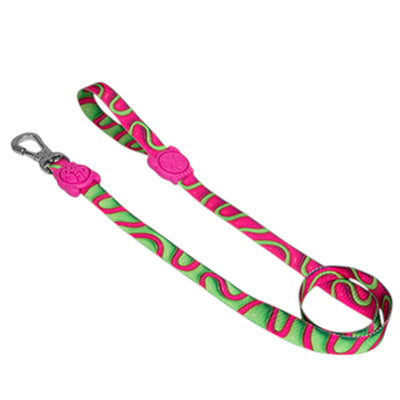 zeedog_jelly_leash_large_7908253607607.jpg