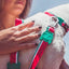 zeedog_leash_lola2_correa_perro_7898582459360.jpg