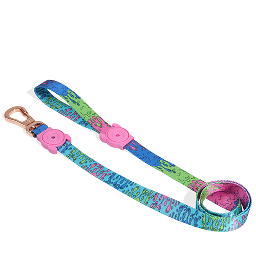 Zeedog_Melted_Leash_Large_7908471124672.png