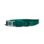 zeedog_neopro_amazonia_collar_small_collar_perros_7898582485789.jpg