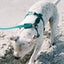 zeedog_neopro_amazonia_hharness_small2_arnes_perros_7898582485994.jpg