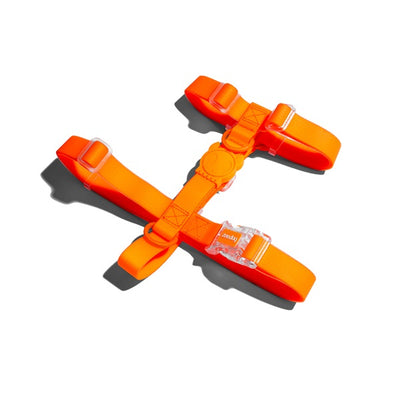 zeedog_neopro_tangerine_hharness_extrasmall_arnes_perros_7898582486045.jpg