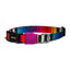 zeedog_prisma_collar_medium_collar_perros_7898582475889.jpg