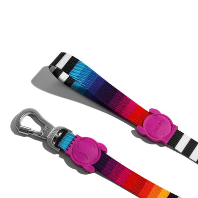 zeedog_prisma_leash_large2_correa_perros_7898582475995.jpg