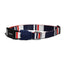 zeedog_rocket_collar_extrasmall_collar_perros_7898582475988.jpg