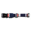 zeedog_rocket_collar_small2_collar_perros_7898582475971.jpg