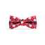 zeedog_same_bow_tie_perro_large_7898582496372.jpg