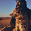 zeedog_same_collar_perro_medium2_7898582495962.jpg