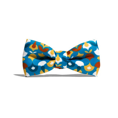 zeedog_yansun_bow_tie_large_7898582496334.jpg