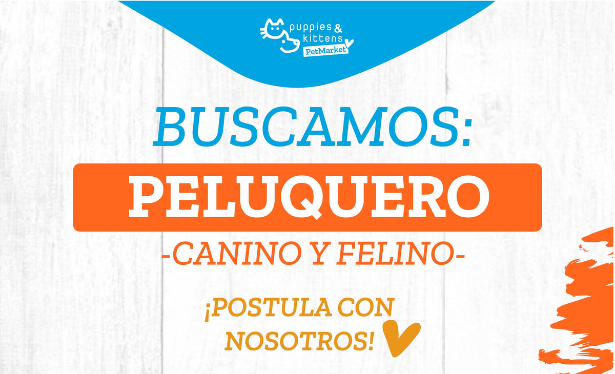 ¿Quieres ser nuestro próximo Groomer?