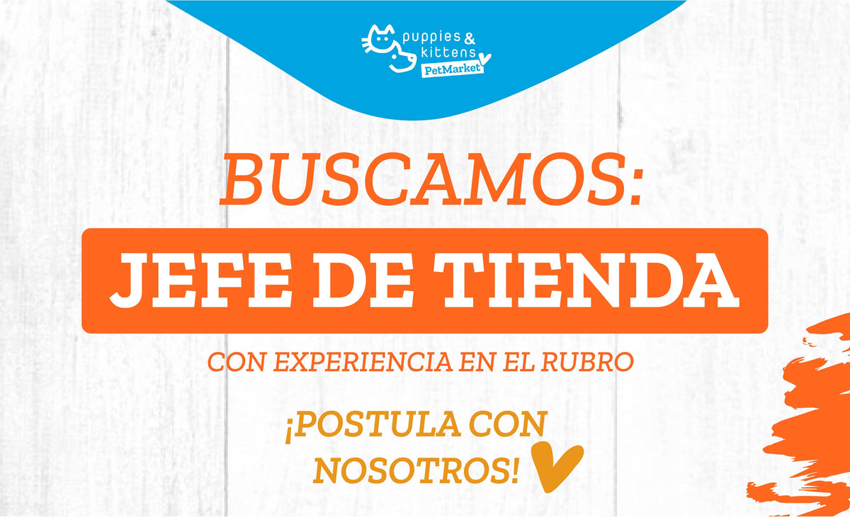 ¿Quieres ser nuestro próximo Jefe de Tienda?